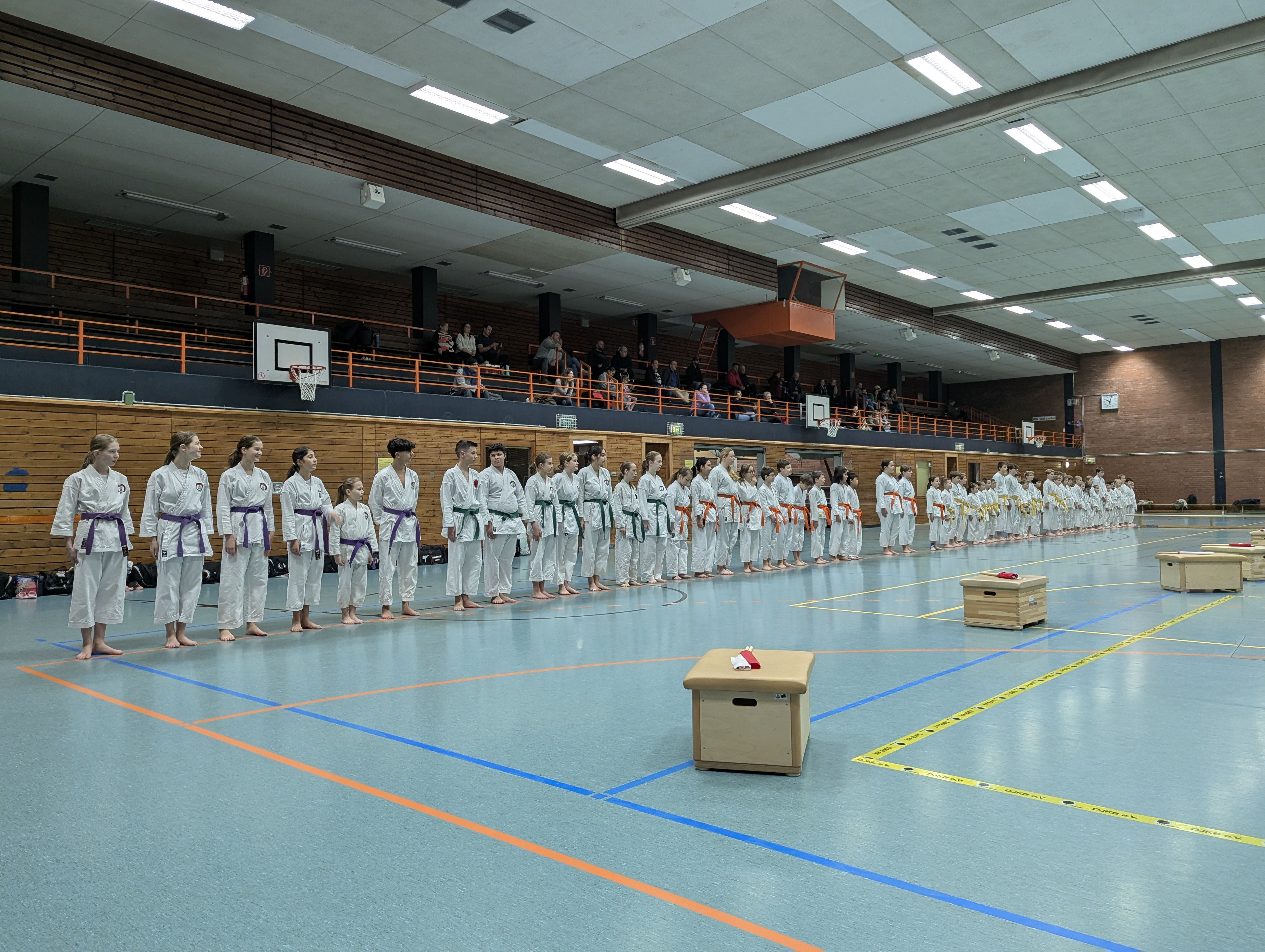 002 PXL 20251206 090446117 Arthur