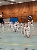 IMG-003