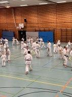 IMG-006