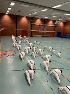 IMG-008