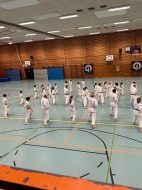 IMG-009