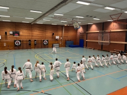 IMG-010