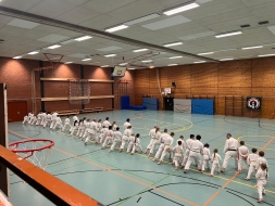 IMG-011