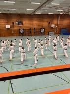 IMG-013