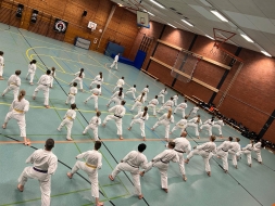 IMG-014