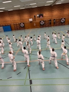 IMG-016