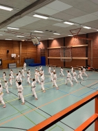 IMG-017