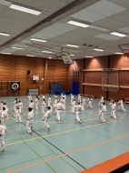 IMG-018