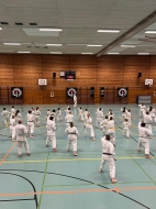 IMG-019