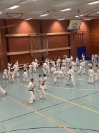 IMG-029