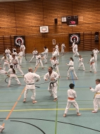 IMG-037